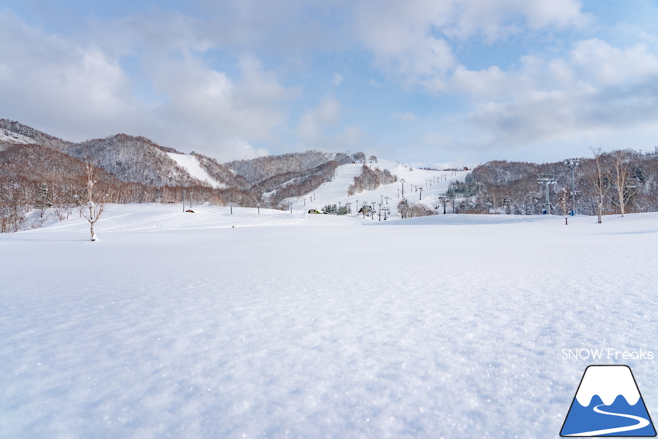 マウントレースイ｜お正月の記録的な大雪でゲレンデのコンディションはバッチリ！凸凹の未圧雪エリアを楽しみましょう♪